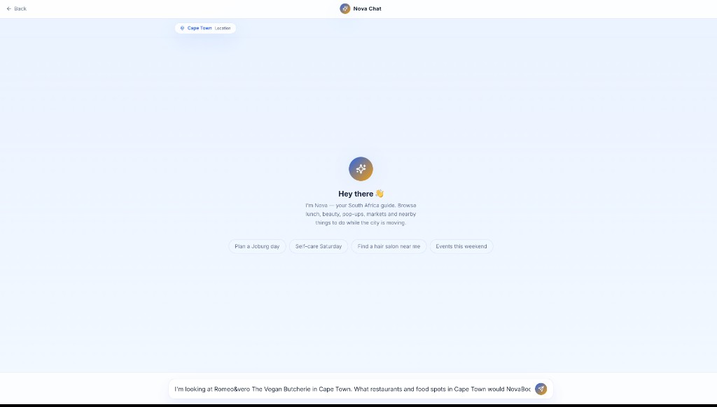 Nova Chat AI guide for planning activities in South Africa